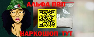 амф Новодвинск